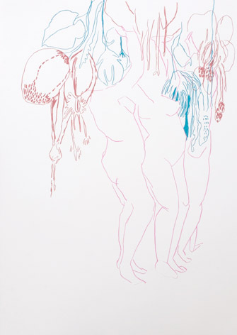Cinthia Mitterhuber: O.T. |  Wachskreide auf Papier | 2011 | 84 x 59,3 cm